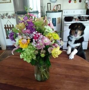 Meet your Posher, Bessie